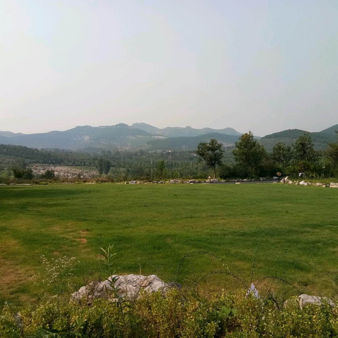 心静逆境界02457