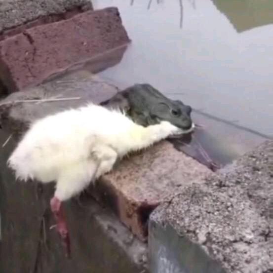 我还没想好你等等