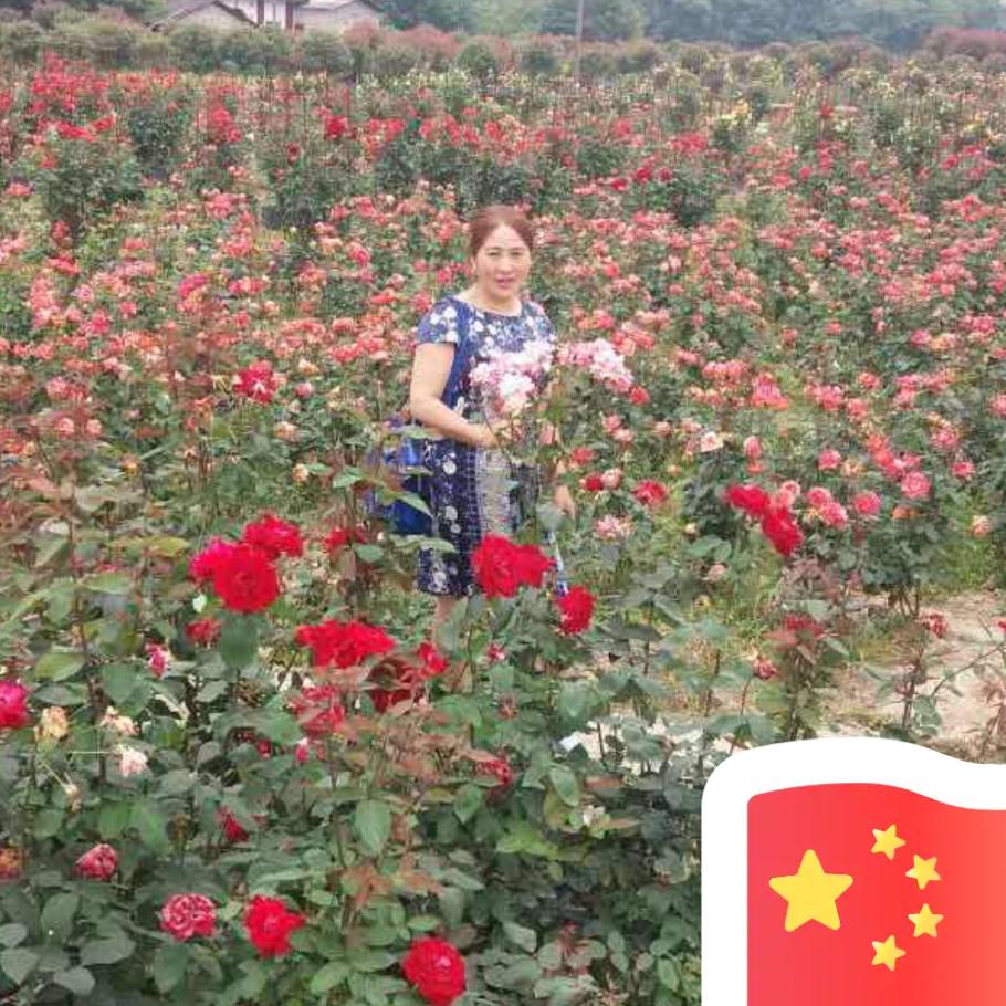 肖琴《钓鱼姐》