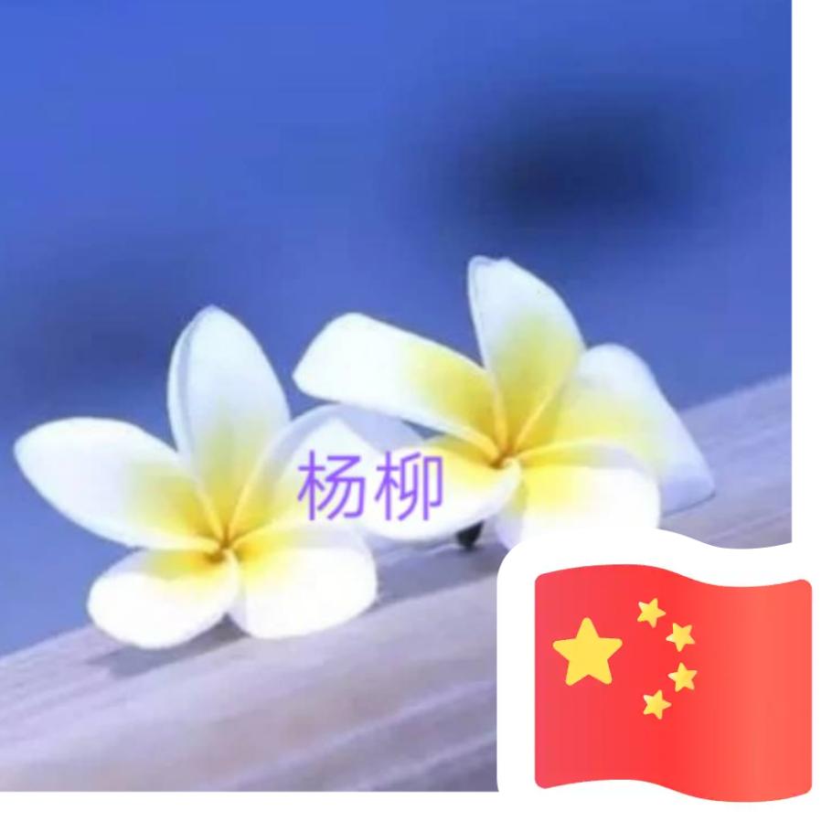 依柳拂尘