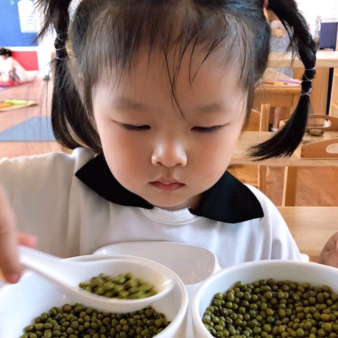 倾怜韵兰