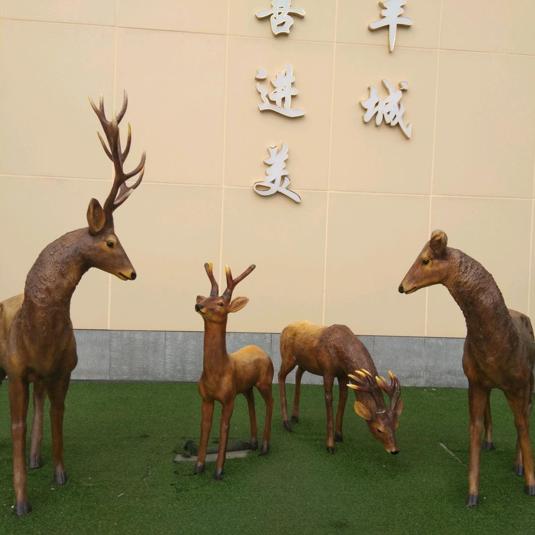 奔跑的旅行者