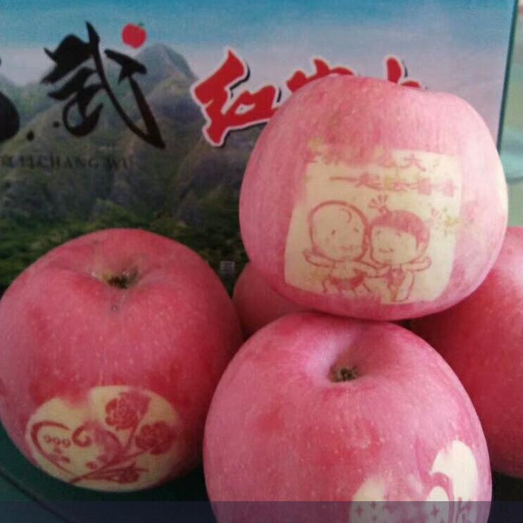 长武苹果