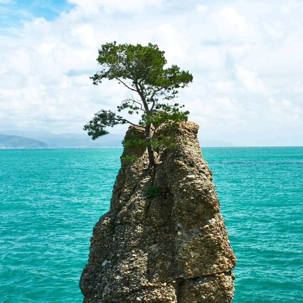 学芹砂石建材