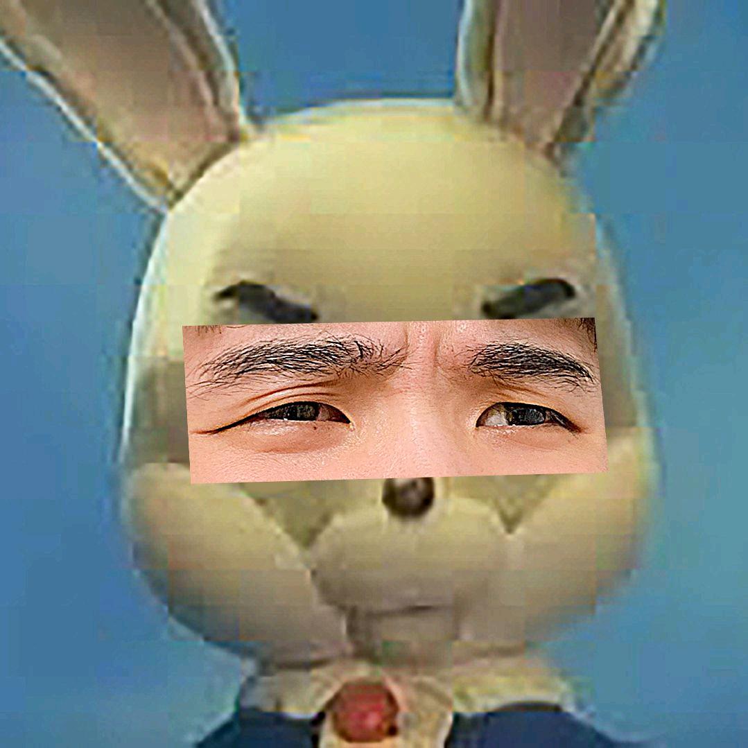 阿波兔吃灯@抖音