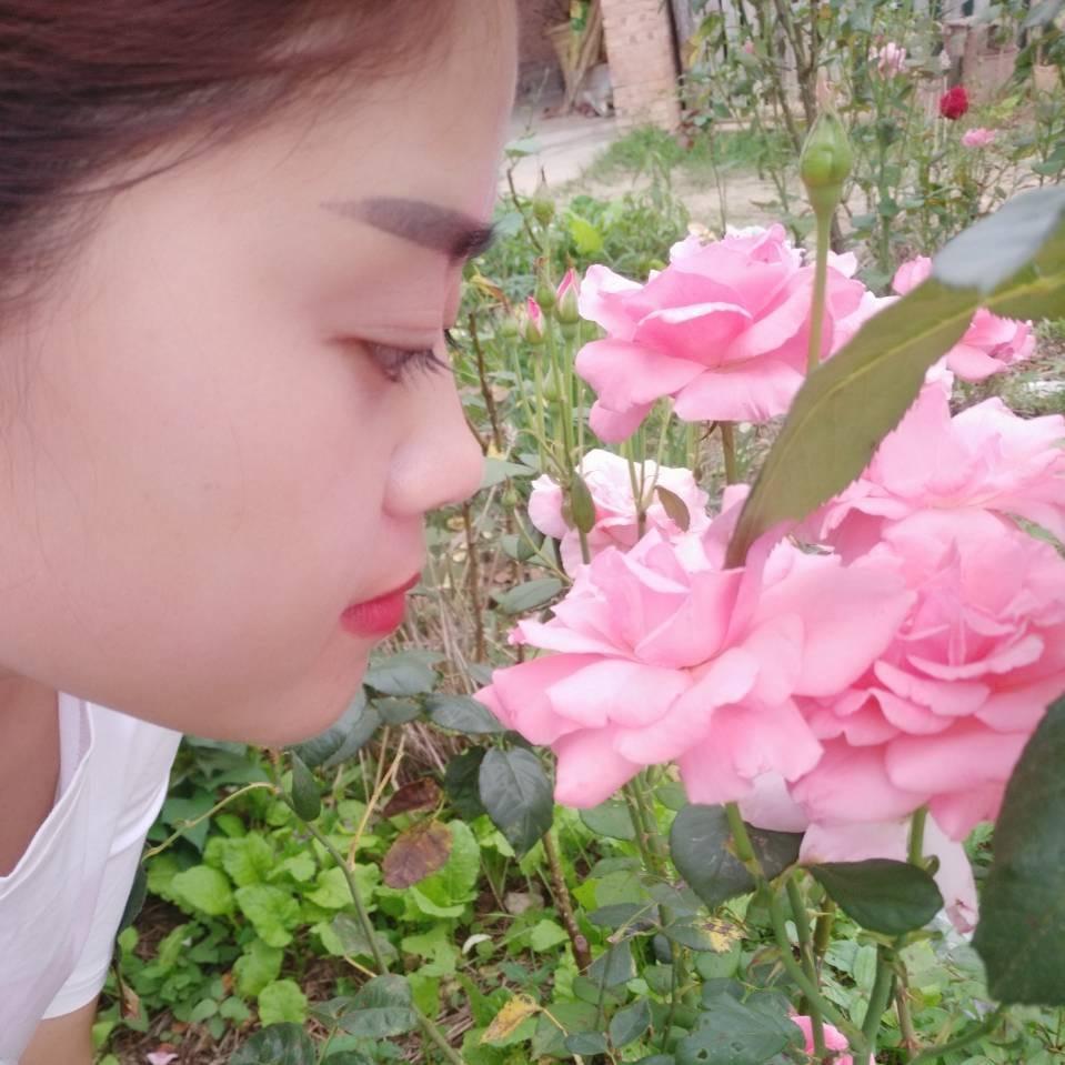 后来的董小姐