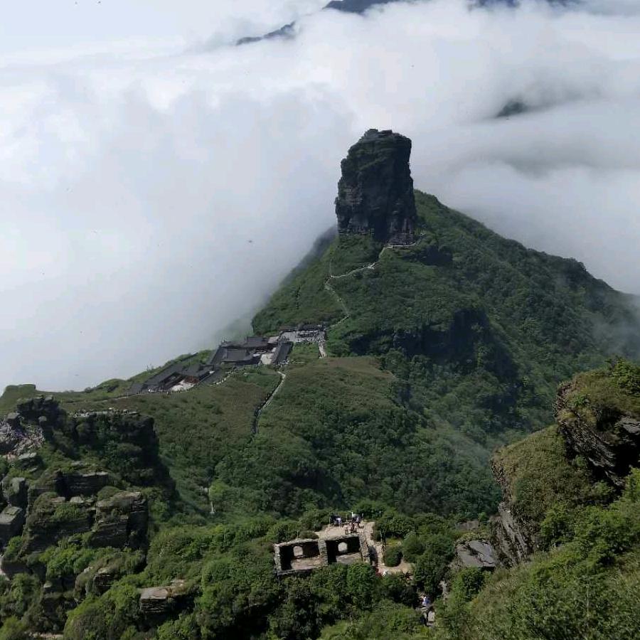 枫叶