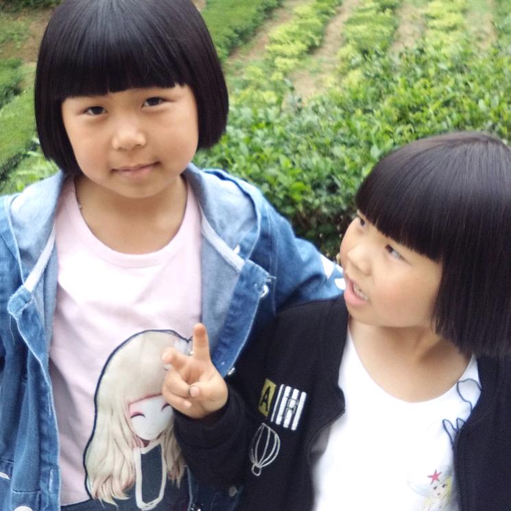 冉冉
