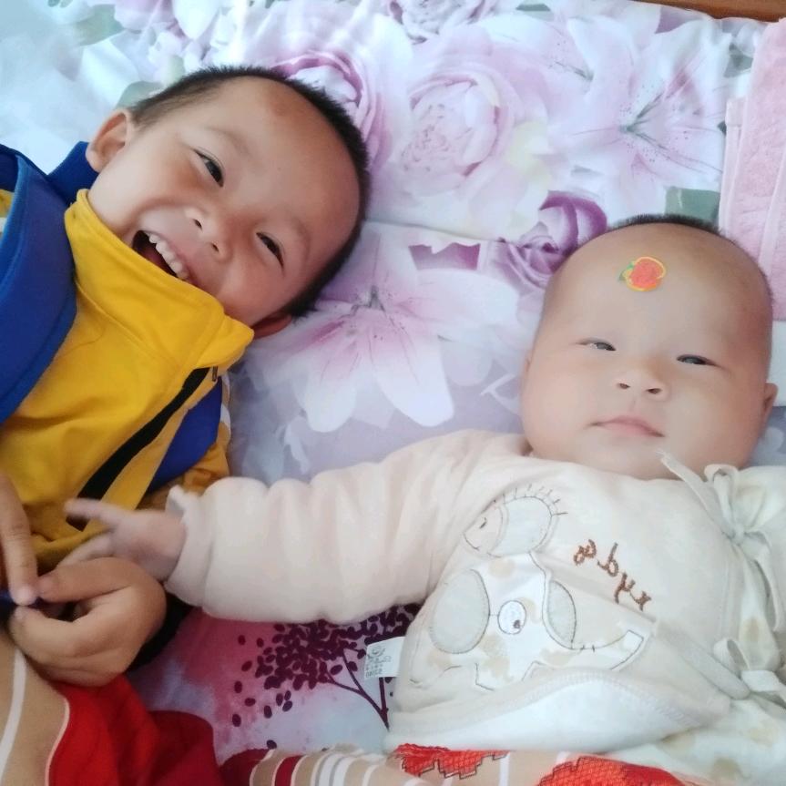 樊先生的罗小姐