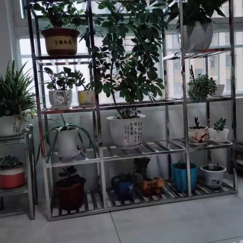 花世界95