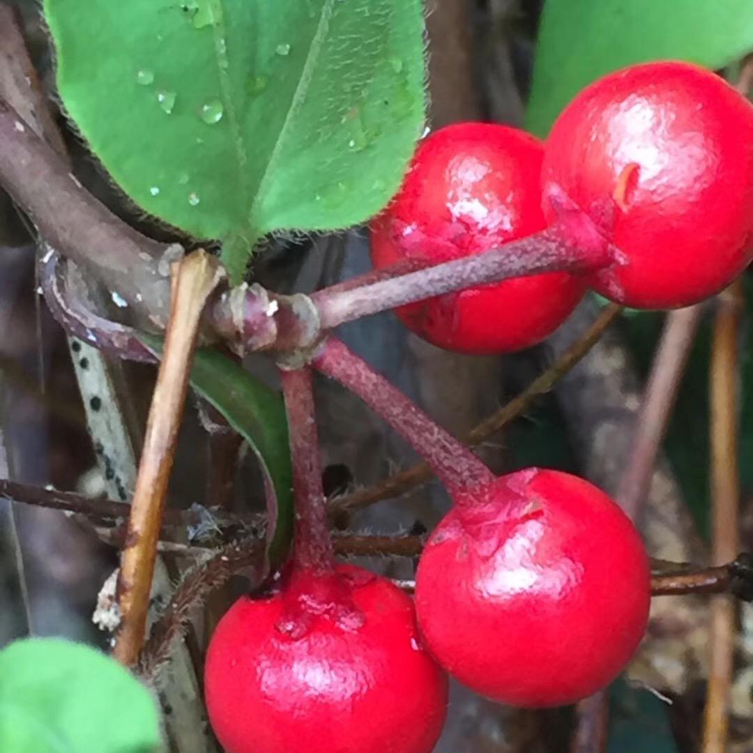 用户风一样自由