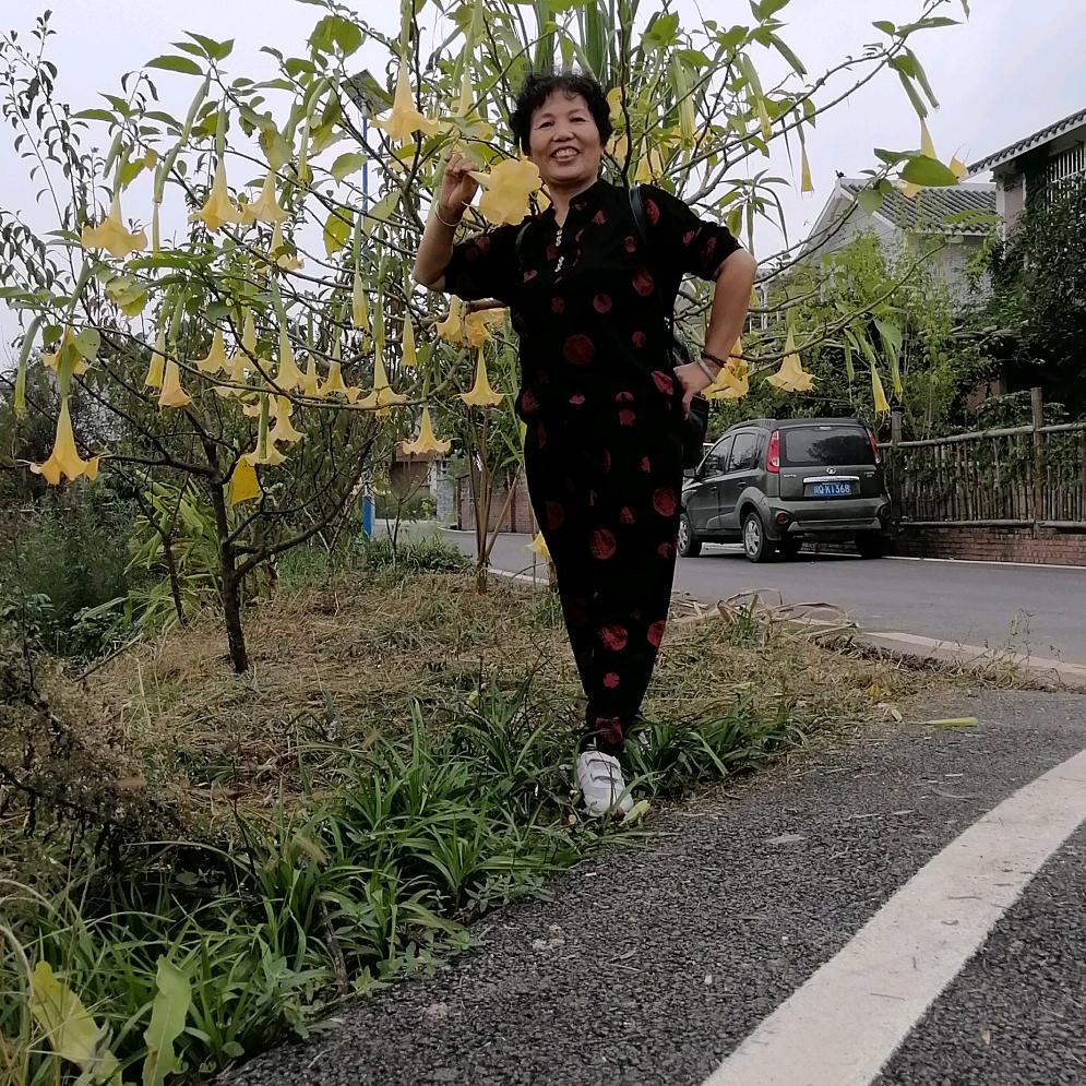 好运连连
