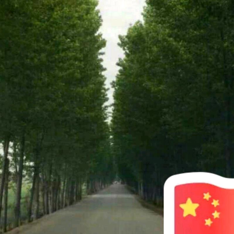回忆🐵💕