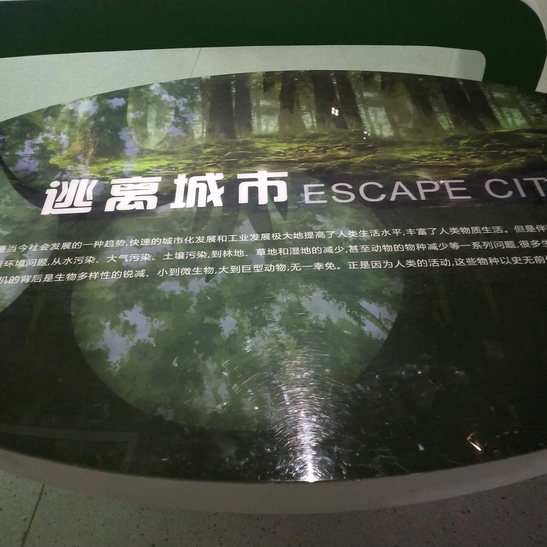 经历了明天
