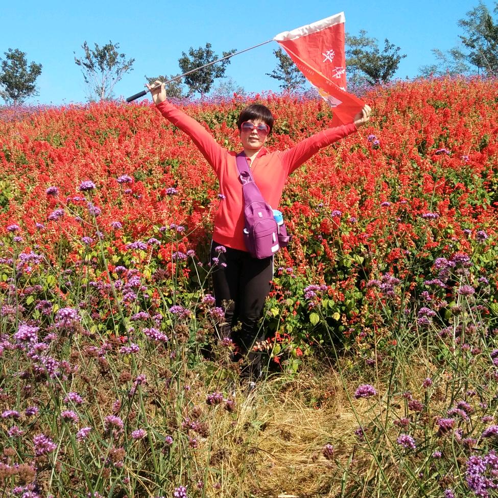蓝天白云-(聊天直播)
