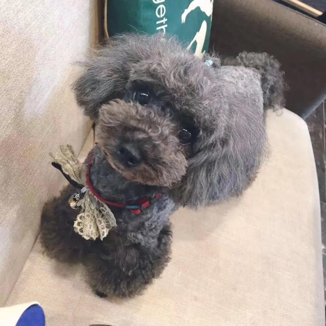 集宠悦宠窝宠物生活馆