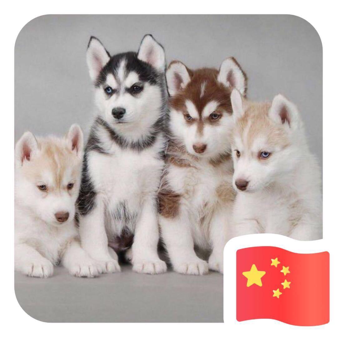 小样儿，别嘚瑟