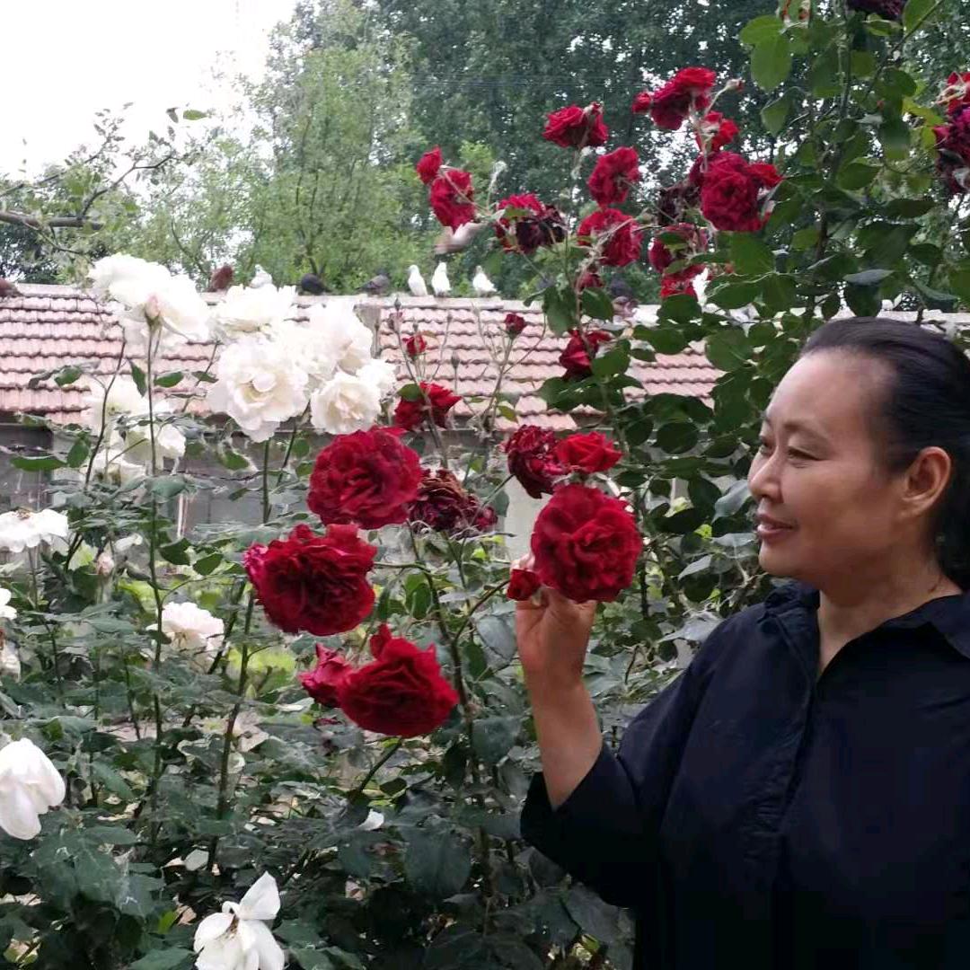 秦时明月