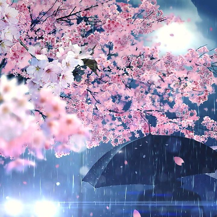 手❤里的宝