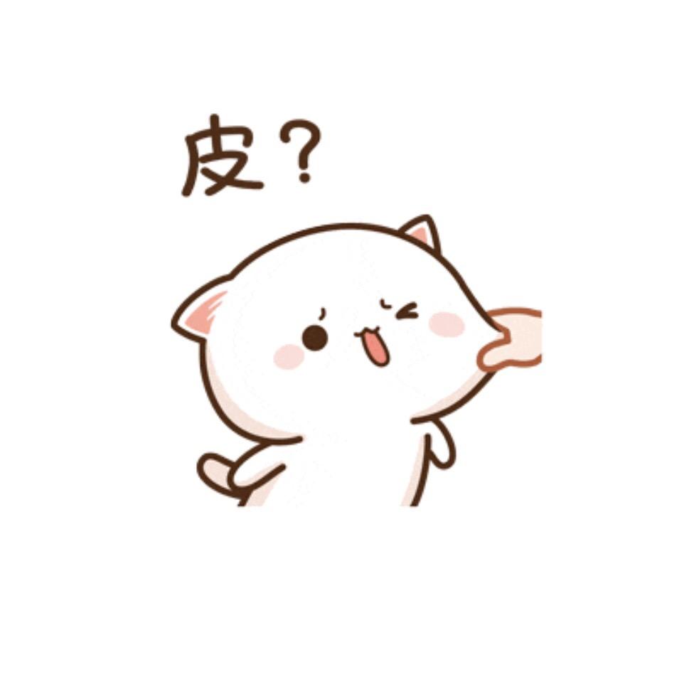 等风也等你