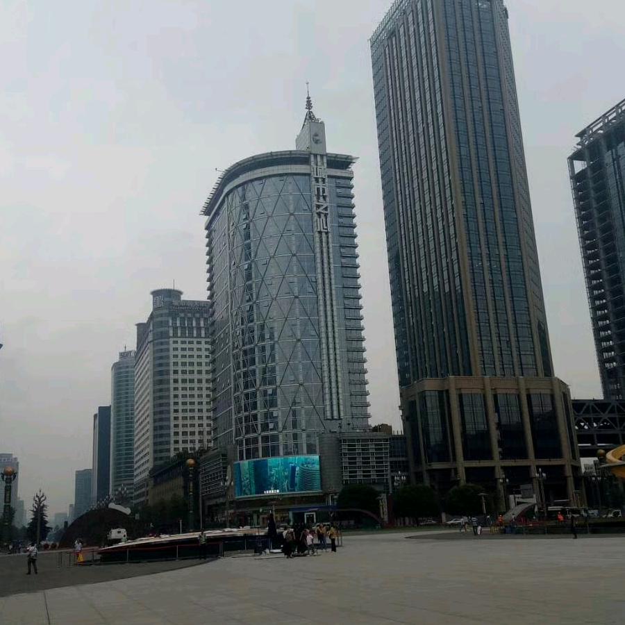 风雨无阻82狗狗