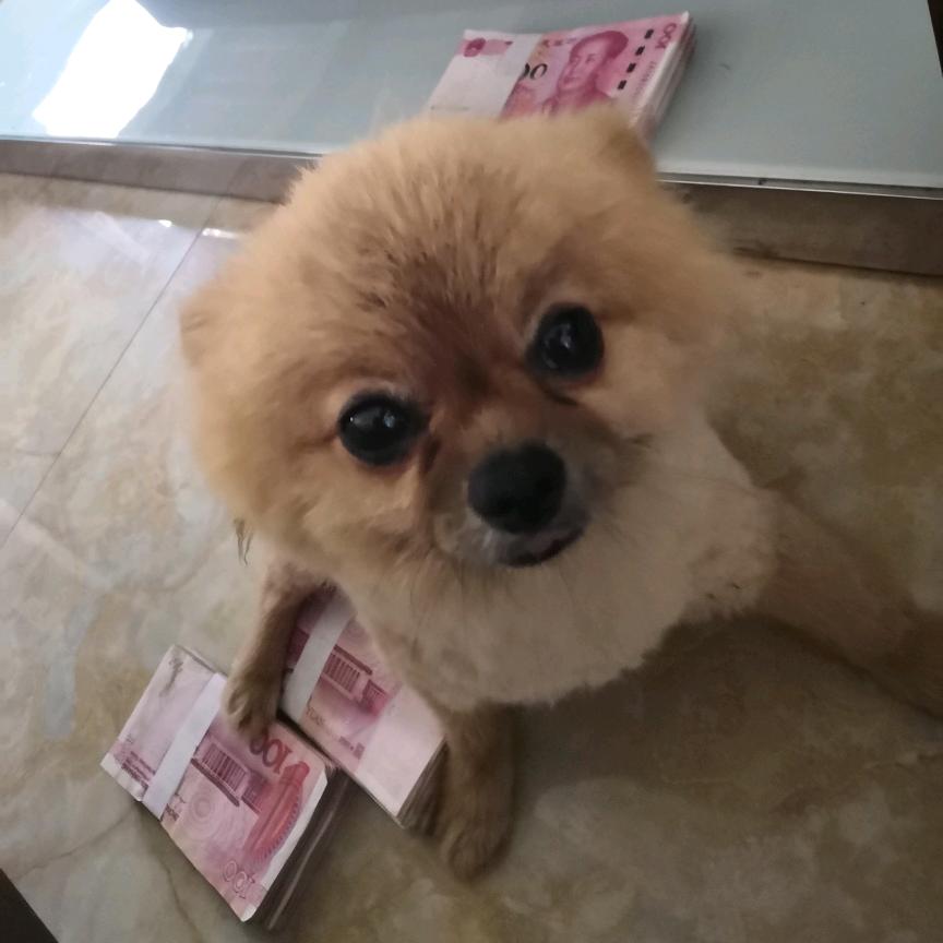 当你途径我的盛放