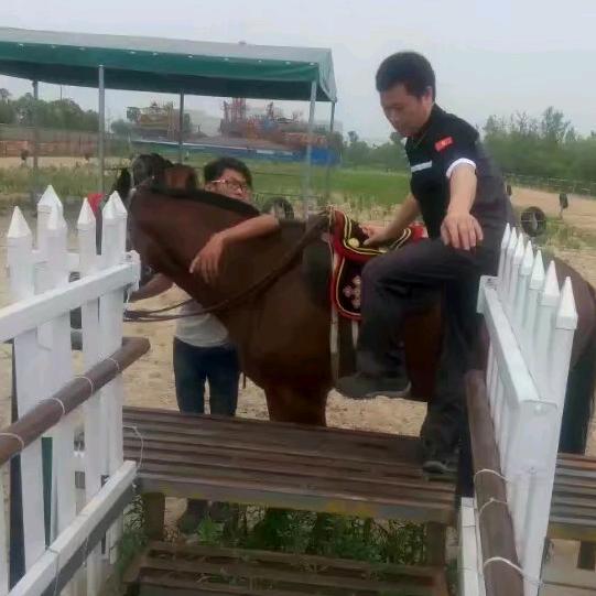 陈兵