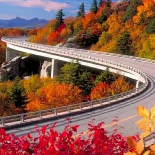 开心每一天_236659716