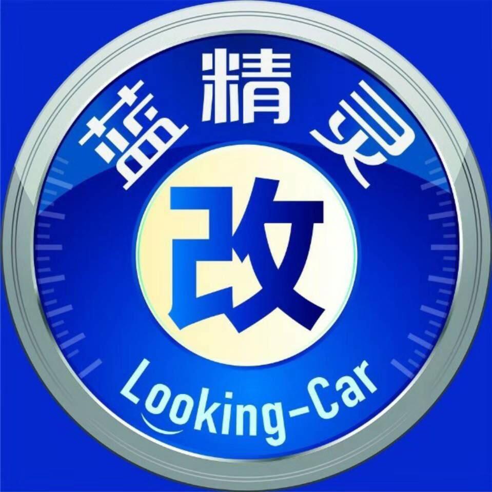 武汉蓝精灵车灯