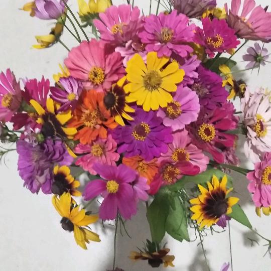 你是我唯一的执着