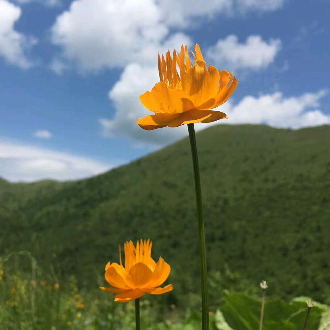 A海上彩虹