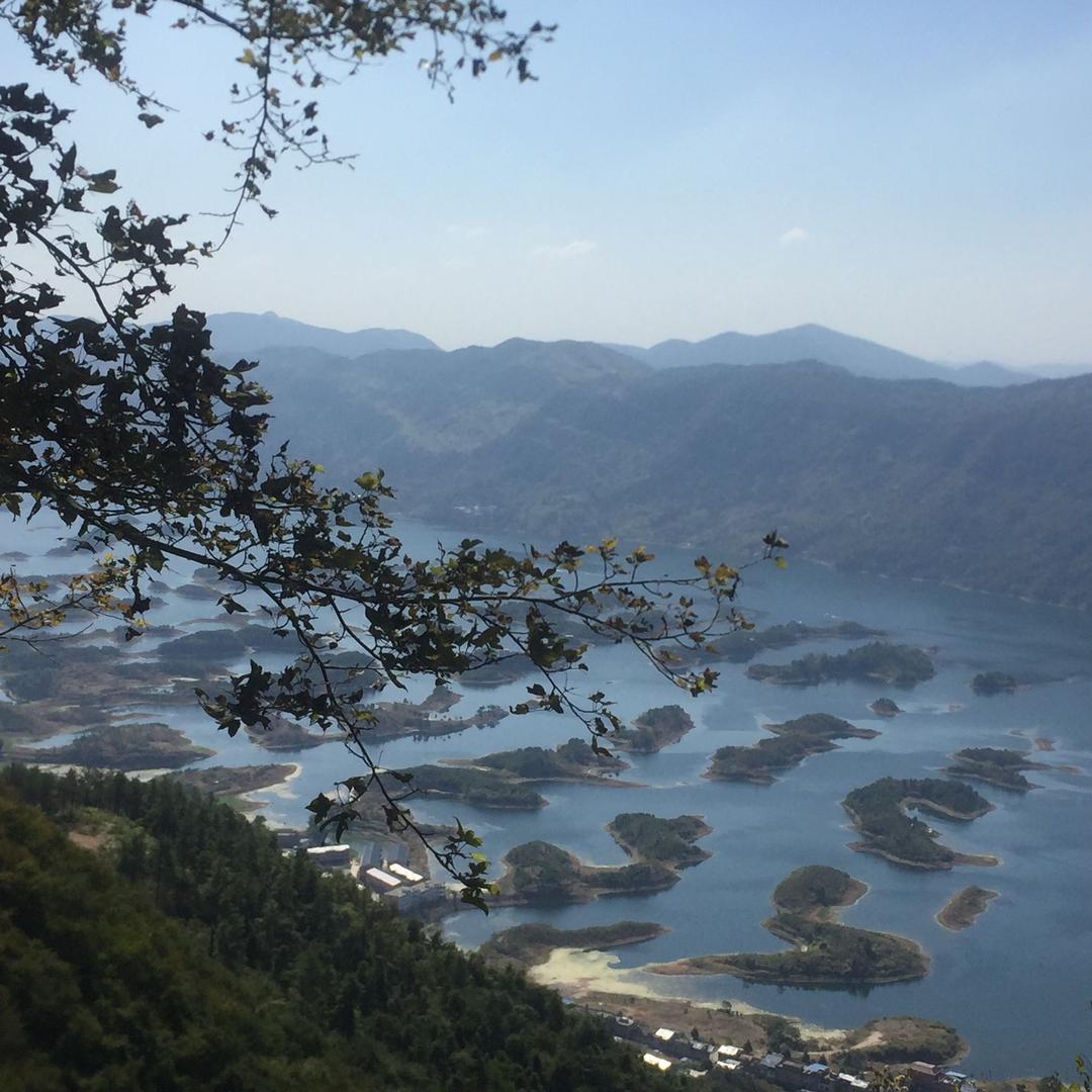 董得珍惜朱定幸福