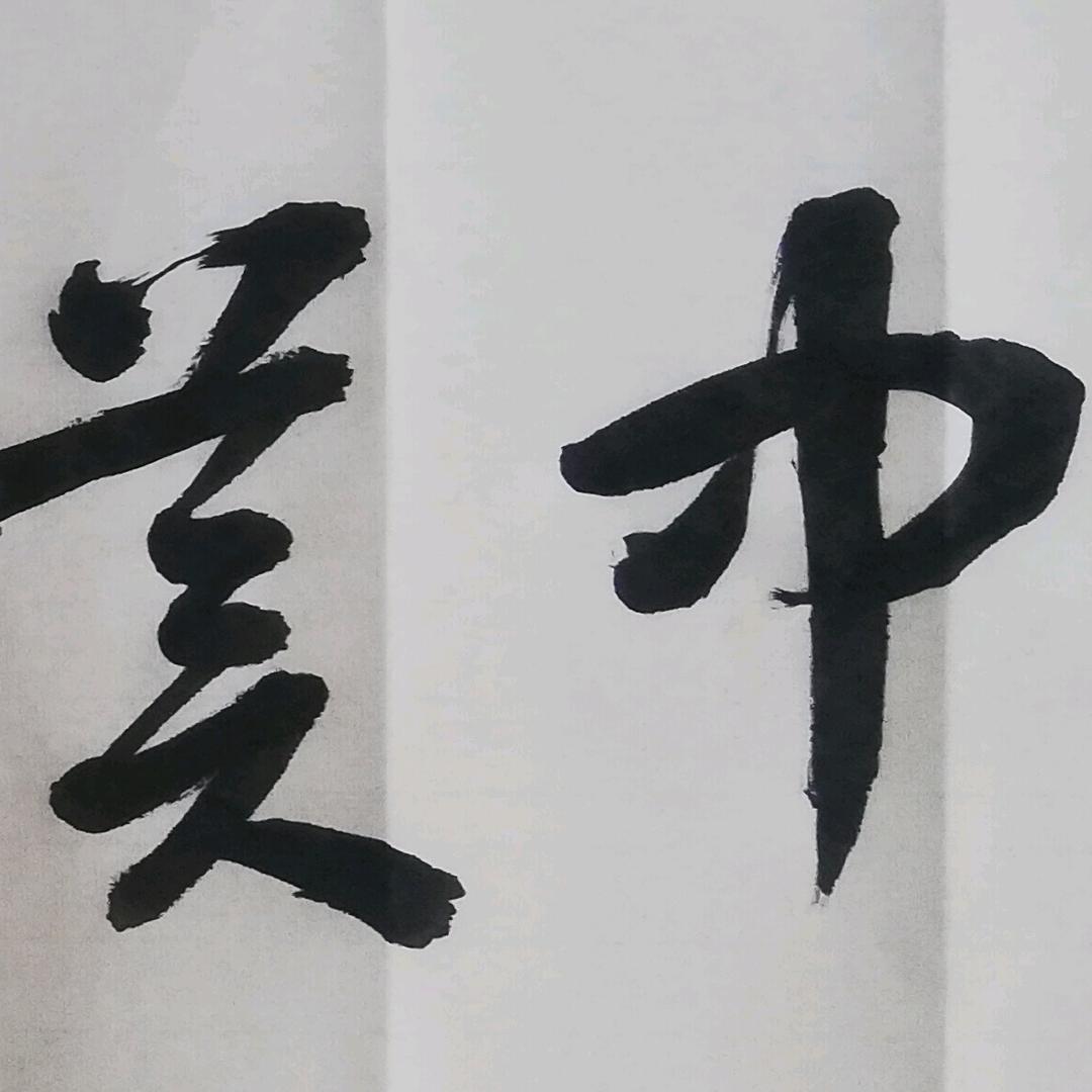 不是书法家的家