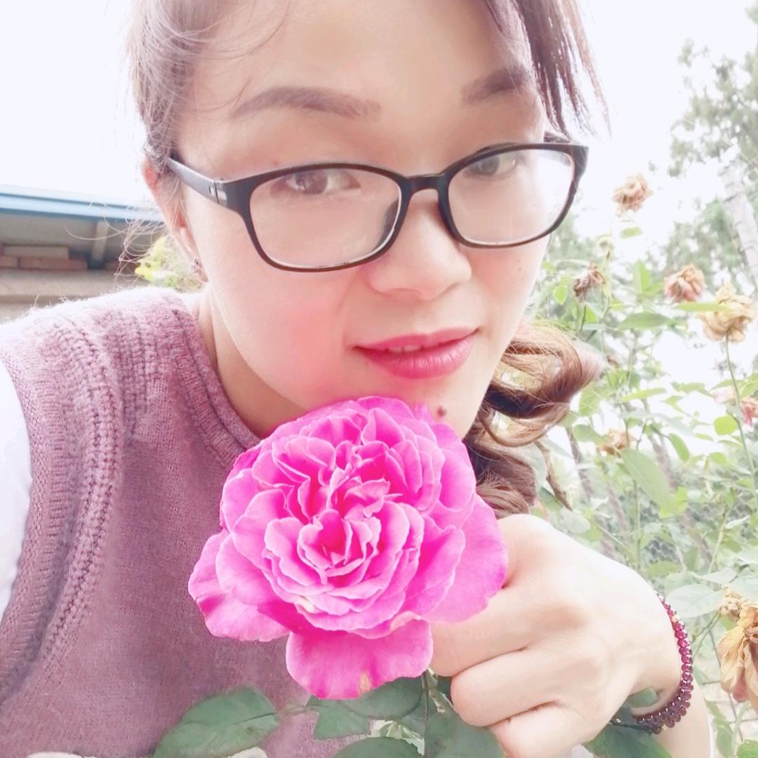 杨家青金😂😂😂