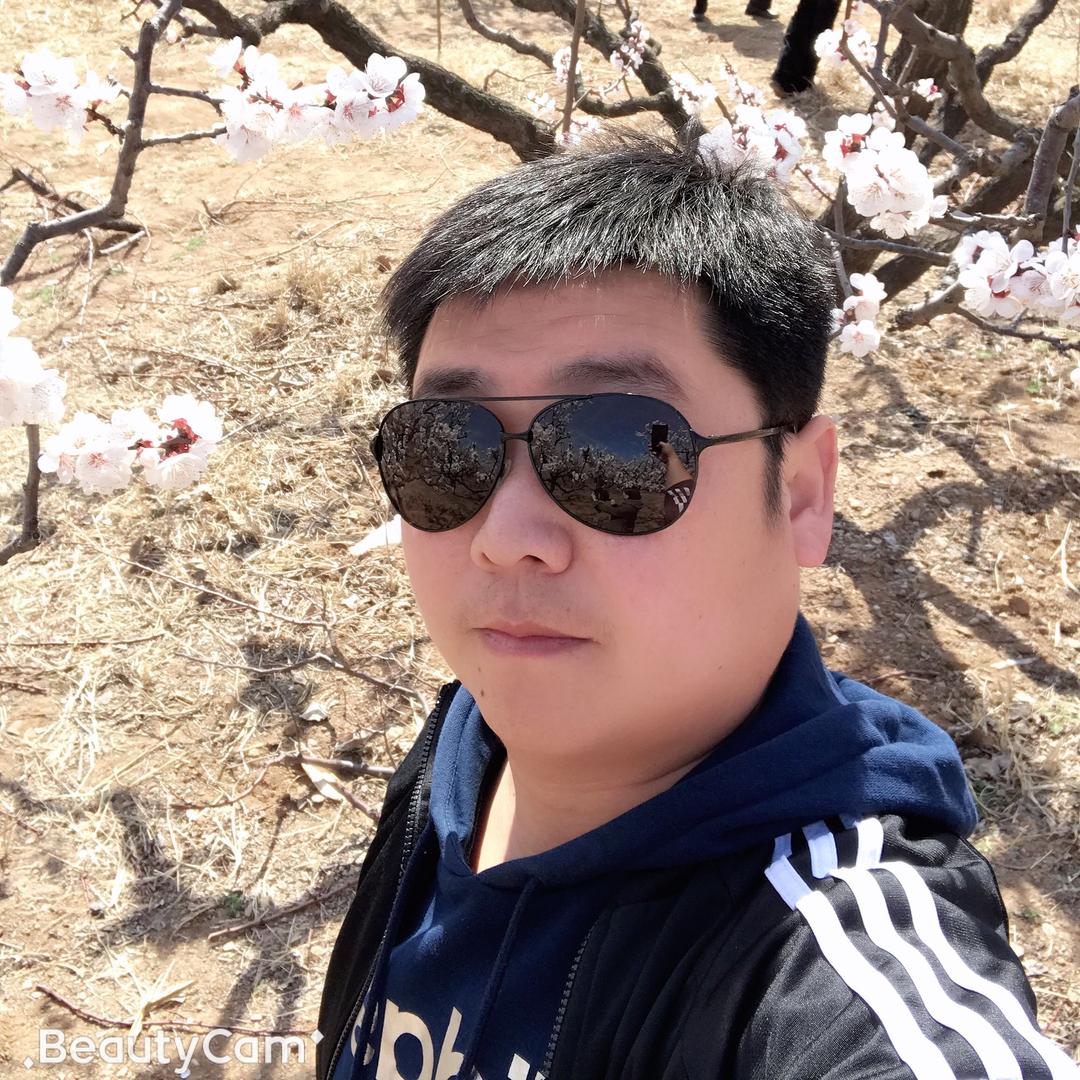 风往北吹