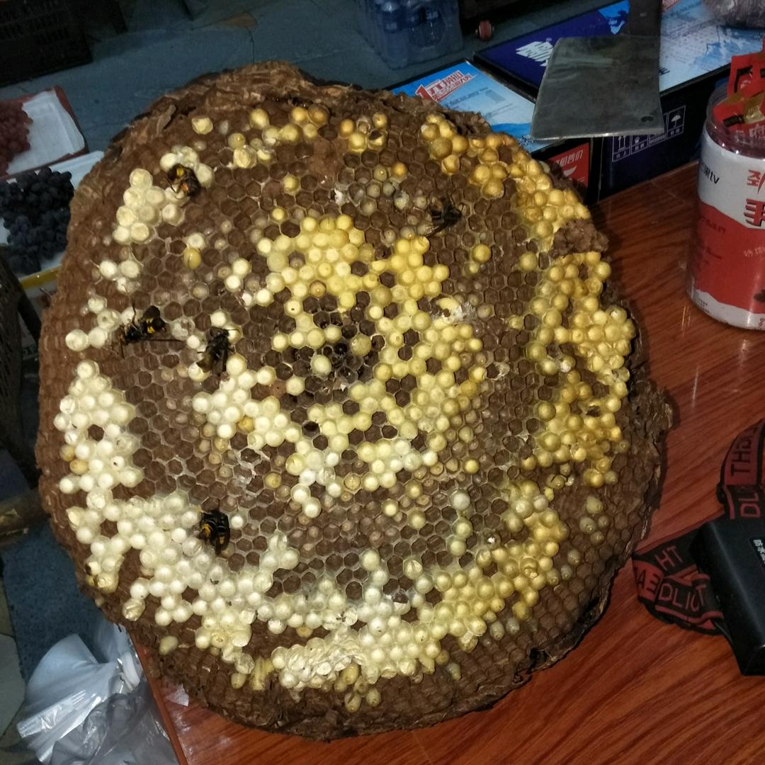 老玩童