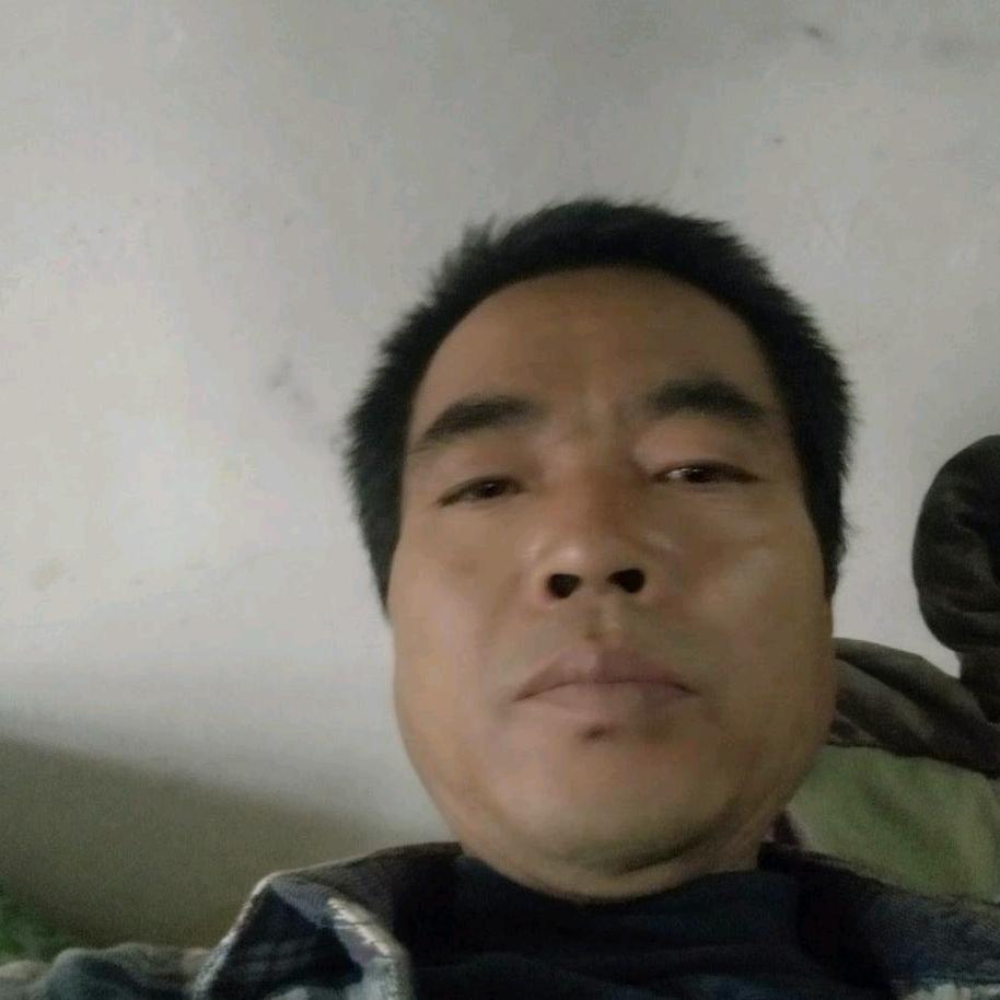 手机用户62837078392