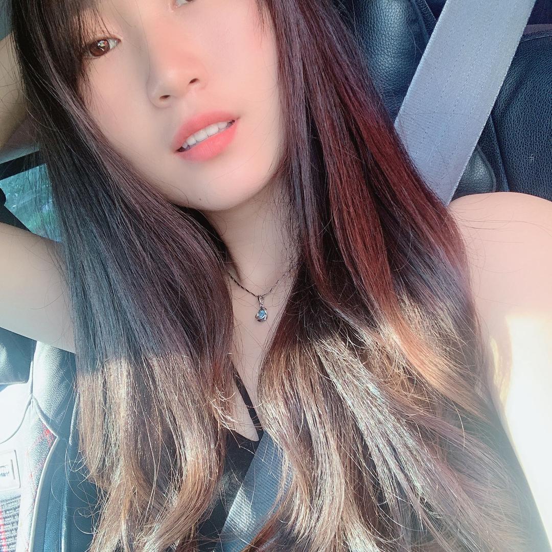 努力shou的小绵羊