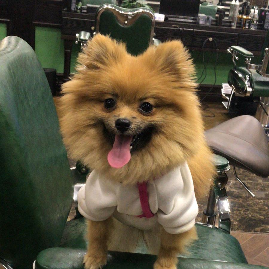 什么都会的小张