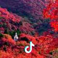 学胜