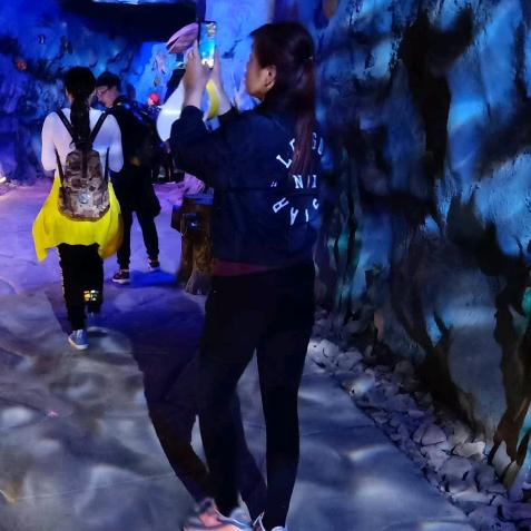 衡水利华华帝厨电