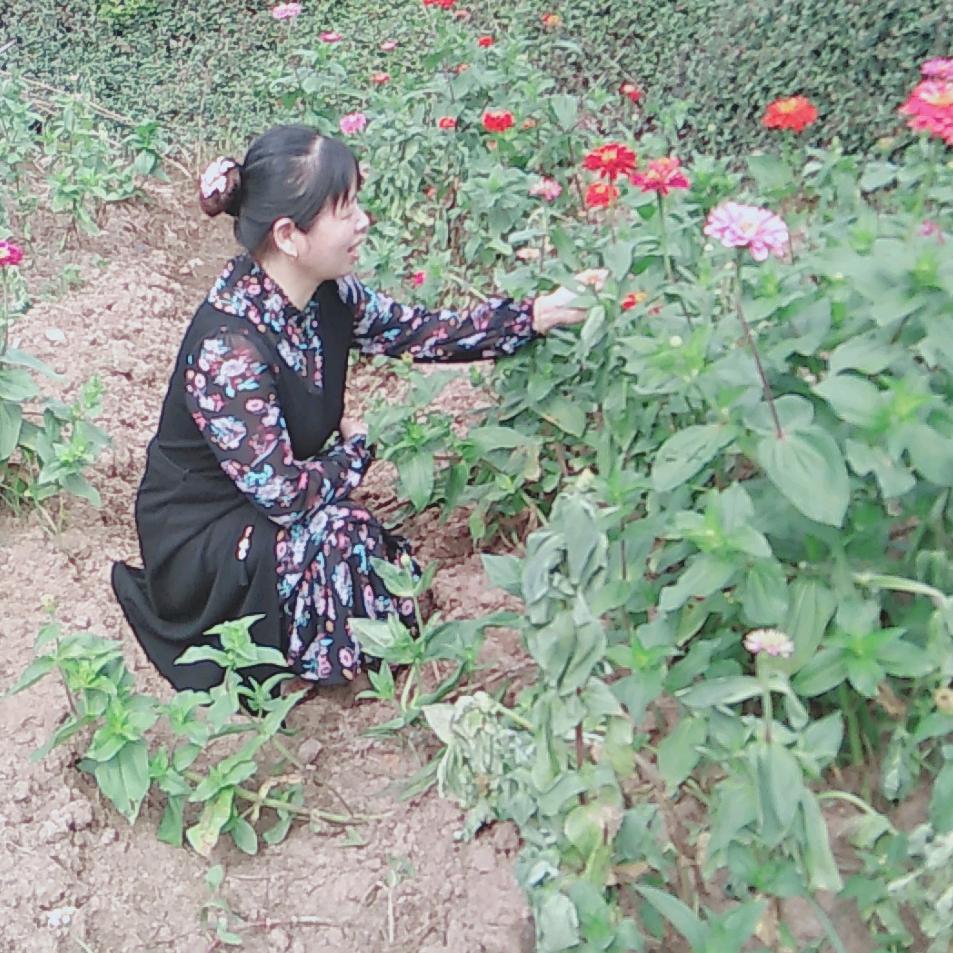 知足常乐