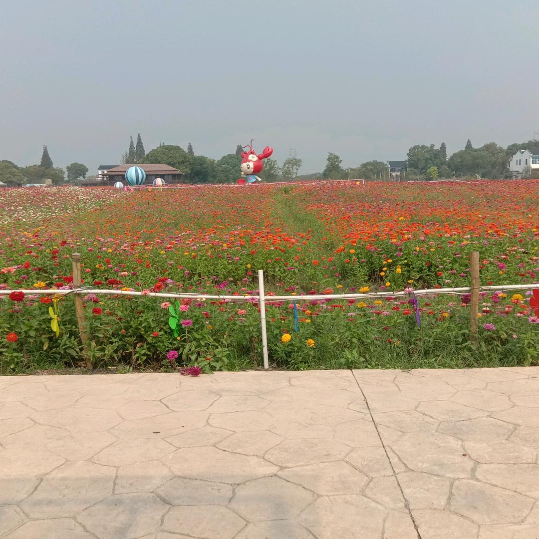 花海