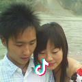小灰灰