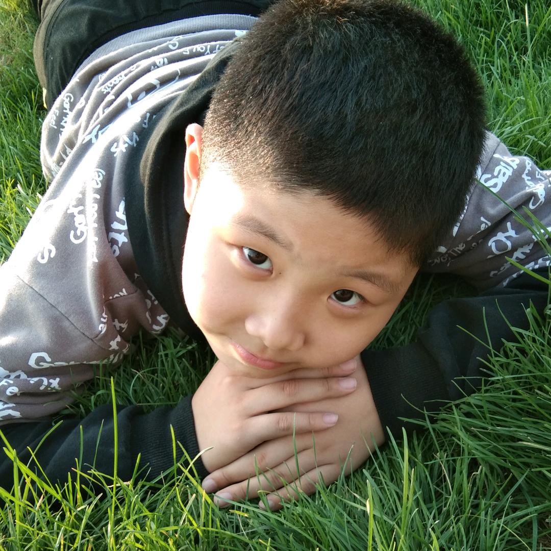 稳稳的幸福