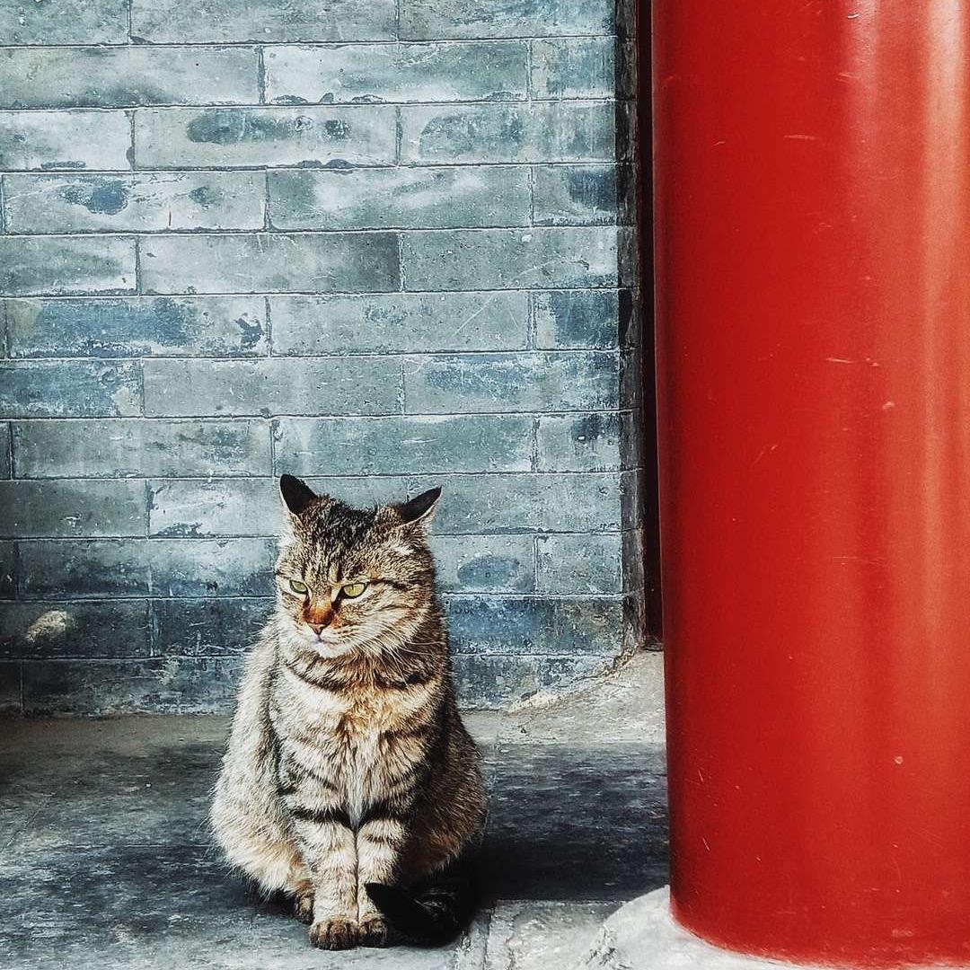 大魔王浩宇（减脂中）