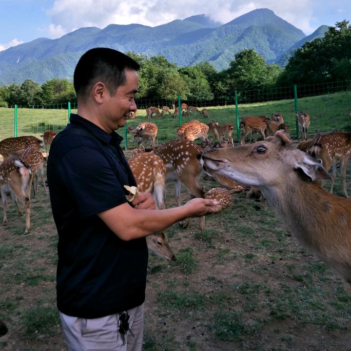 平头哥
