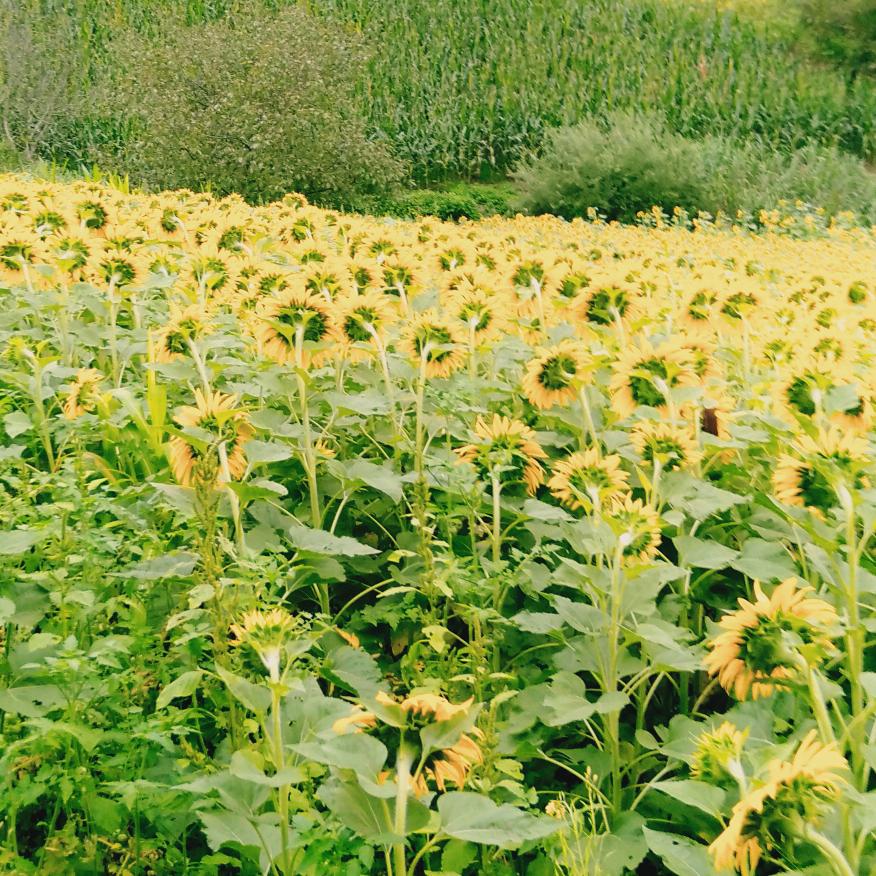 用户9283375730778我就是我