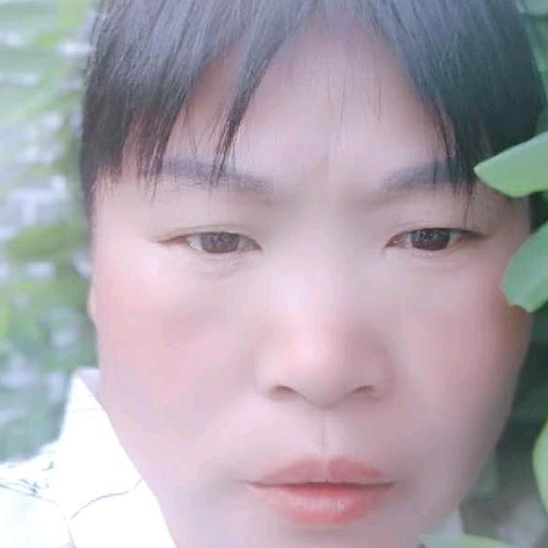 古城深港旧少年460