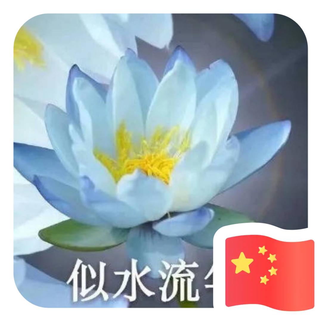 @静思